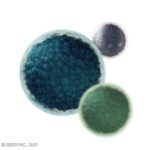 Seer Nanoparticles